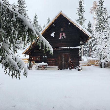 Apartamento Waldbienenhütte Diex Exterior foto