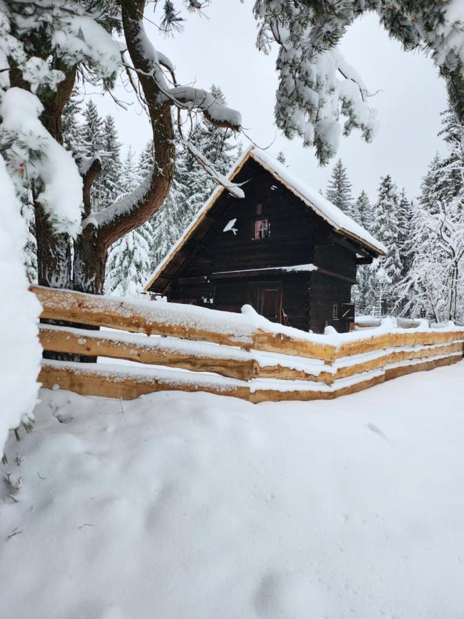 Apartamento Waldbienenhütte Diex Exterior foto